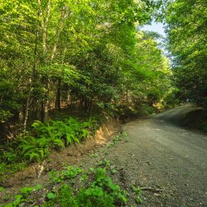 DSC01987