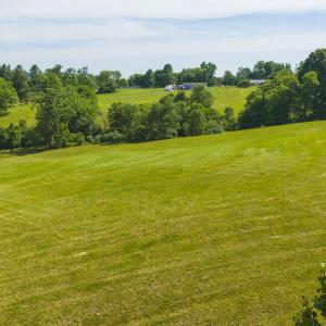DJI_20260608105025_0909_D