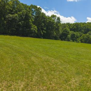 DJI_20260617141620_0383_D
