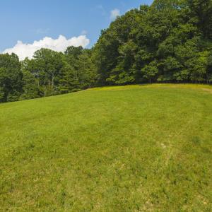 DJI_20260629165844_0185_D