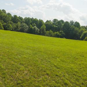 DJI_20260629165824_0183_D