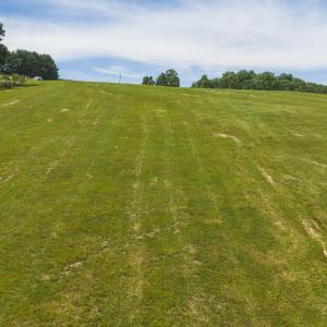 DJI_20260608111802_0933_D