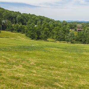 DJI_20260608111917_0938_D