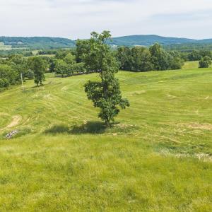 DJI_20260608112854_0958_D