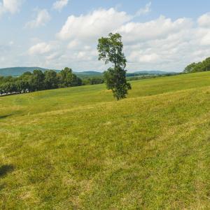 DJI_20260629164456_0157_D