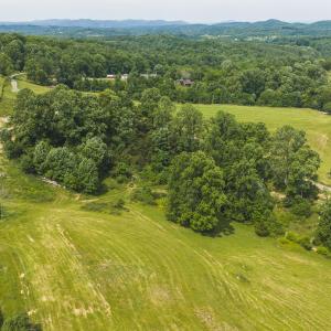 DJI_20260608112315_0946_D