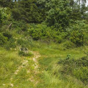 DJI_20260608112554_0952_D