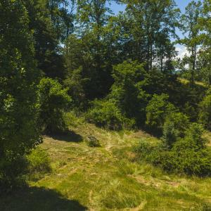 DJI_20260617142918_0385_D