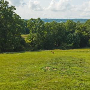 DJI_20260629164725_0163_D