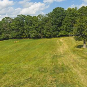 DJI_20260629164738_0164_D