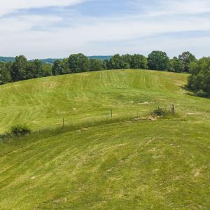 DJI_20260608111744_0931_D