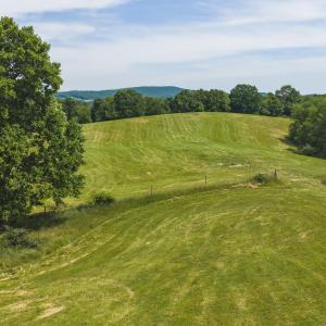 DJI_20260608111754_0932_D