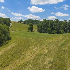 DJI_20260617122552_0364_D