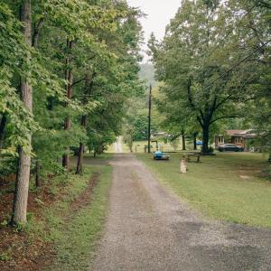 Arrington 5