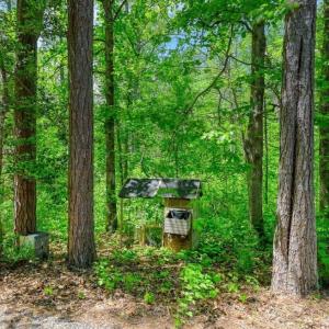 Photo #13 of 14584 CROSS COUNTY RD, MINERAL, VA 78.8 acres