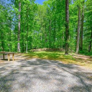 Photo #14 of 14584 CROSS COUNTY RD, MINERAL, VA 78.8 acres