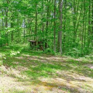 Photo #26 of 14584 CROSS COUNTY RD, MINERAL, VA 78.8 acres