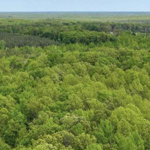 Photo #33 of 14584 CROSS COUNTY RD, MINERAL, VA 78.8 acres