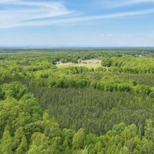 Photo #34 of 14584 CROSS COUNTY RD, MINERAL, VA 78.8 acres