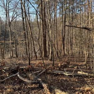 Lot 26 Poplar Dr.