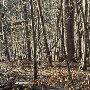 Lot 26 Poplar Dr.