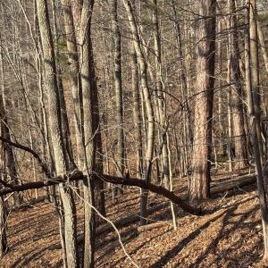 Lot 26 Poplar Dr.