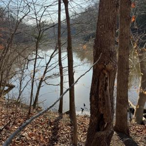 Lot 26 Poplar Dr.