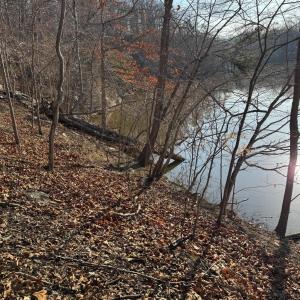 Lot 26 Poplar Dr.