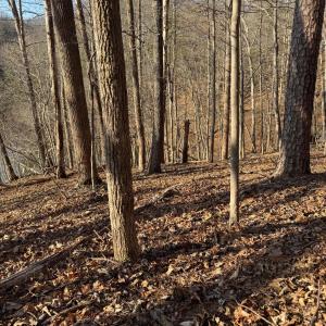 Lot 26 Poplar Dr.