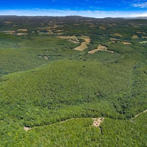 09-DJI_20260701140822_0047_D