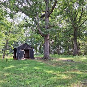 Photo #9 of 9499 OLD WATERLOO RD, WARRENTON, VA 5.5 acres