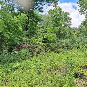 Photo #17 of 9499 OLD WATERLOO RD, WARRENTON, VA 5.5 acres