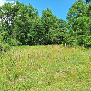 Photo #16 of 9499 OLD WATERLOO RD, WARRENTON, VA 5.5 acres