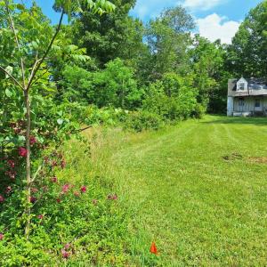 Photo #15 of 9499 OLD WATERLOO RD, WARRENTON, VA 5.5 acres