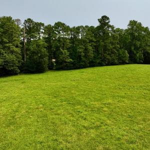 New Photos - 1