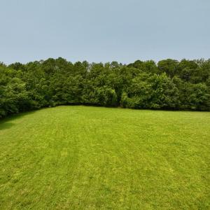 New Photos - 8
