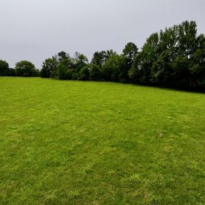 New Photos - 11