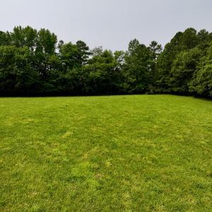 New Photos - 15