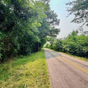 New Photos - 22