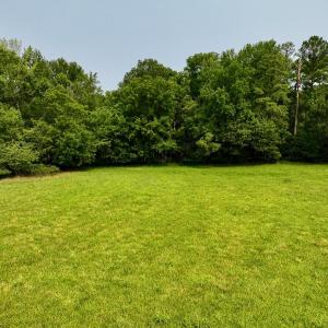 New Photos - 25