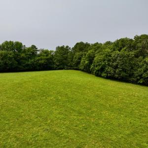 New Photos - 26
