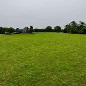 New Photos - 31