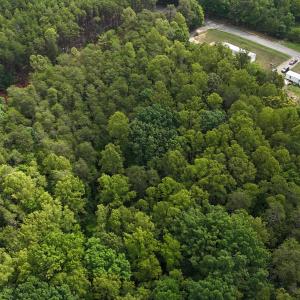 DJI_20260708110128_0019_D