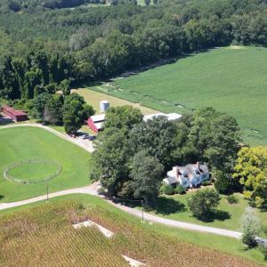 DJI_0743