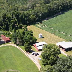 DJI_0744