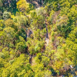 stoney run_022