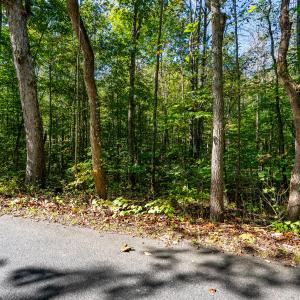 stoney run_003