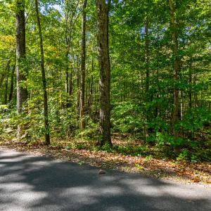 stoney run_002