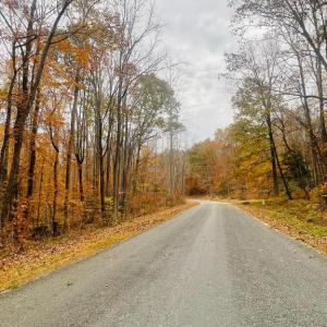 Photo #11 of 8704 MILLWOOD DR, SPOTSYLVANIA, VA 4.9 acres