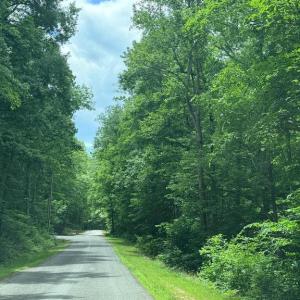 Photo #1 of 8704 MILLWOOD DR, SPOTSYLVANIA, VA 4.9 acres
